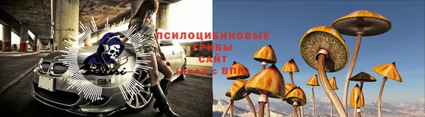 винт Белокуриха