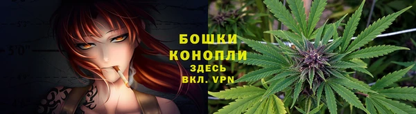 винт Белокуриха