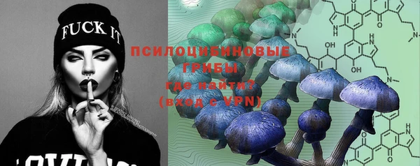 винт Белокуриха