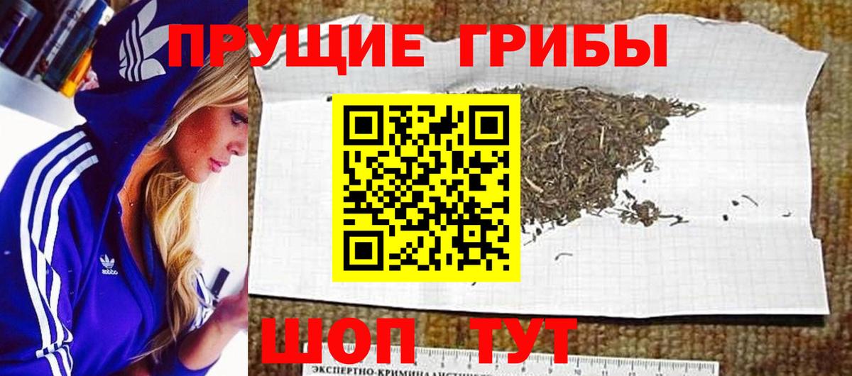 Псилоцибиновые грибы мухоморы Вязьма