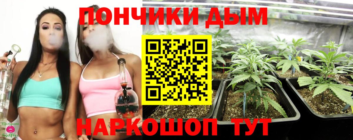 Марихуана сатива  Бошки Шишки план  Конопля планчик  Вязьма  Вход с VPN 